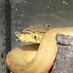 fotos abril2 017 (Small).jpg