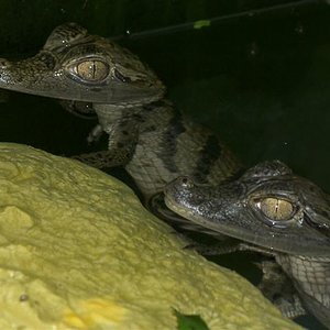 fotos abril2 007 (Small).jpg