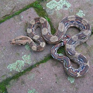 PICT0266 (Small).JPG