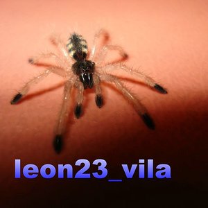 DSC00356 [Resolucion de Escritorio] [Resolucion de Escritorio].jpg