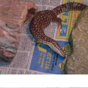 Copia de PICT3000.JPG