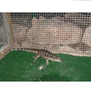 Copia de PICT3280.JPG