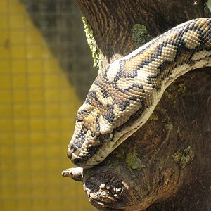 IMG_1041 (Medium).JPG