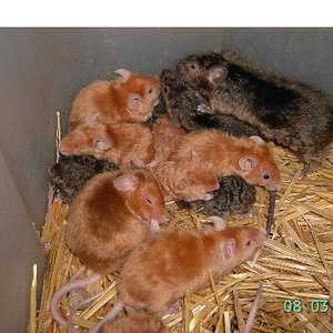 Copia de PICT2138.JPG