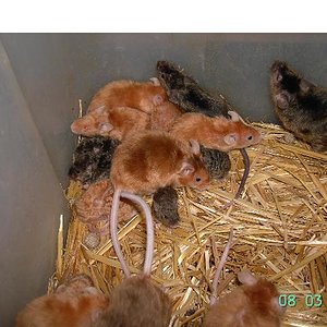 Copia de PICT2137.JPG