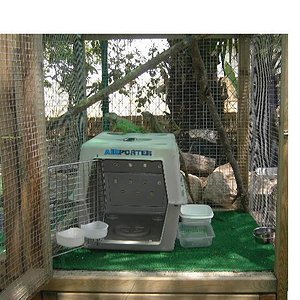 Copia de PICT3741.JPG