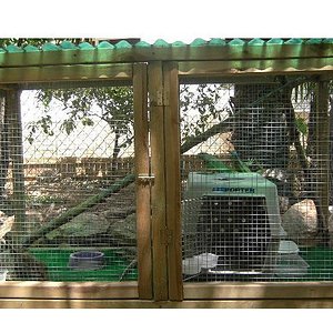 Copia de PICT3747.JPG