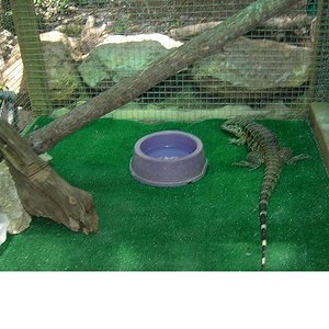 Copia de PICT3744.JPG