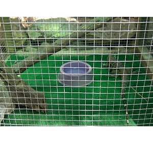 Copia de PICT3743.JPG