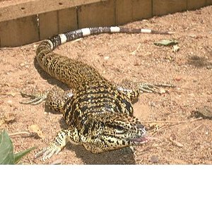 Copia de PICT3730.JPG