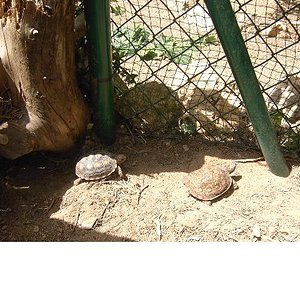 Copia de PICT3720.JPG