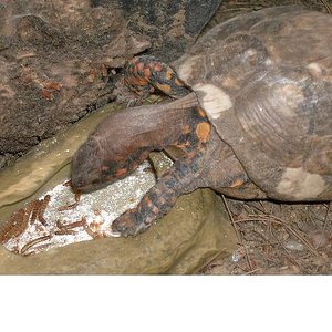 Copia de PICT3694.JPG