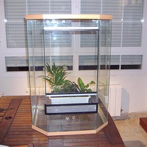 P5130082 (Small).JPG