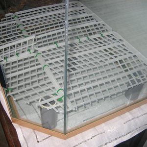 vivario 004 (Small).jpg