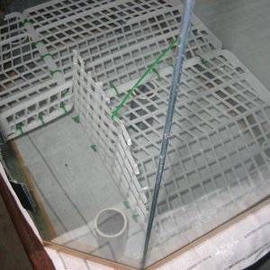 vivario 005 (Small).jpg