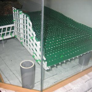 vivario 007 (Small).jpg