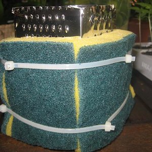 vivario 011 (Small).jpg