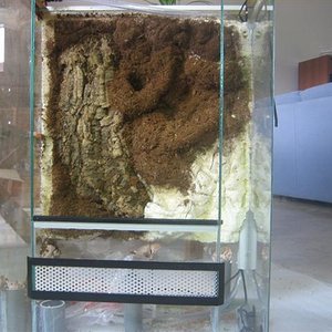 vivario 022 (Small).jpg