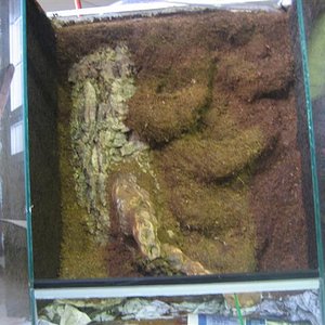 vivario 025 (Small).jpg