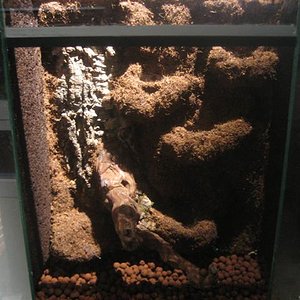 vivario 028 (Small).jpg