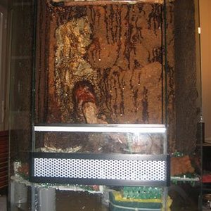 vivario 029 (Small).jpg