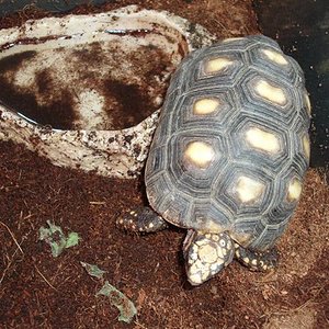 Picture 082 (Small).jpg