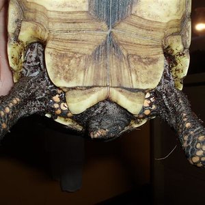 Picture 083 (Small).jpg