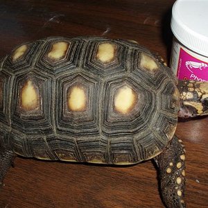 Picture 086 (Small).jpg