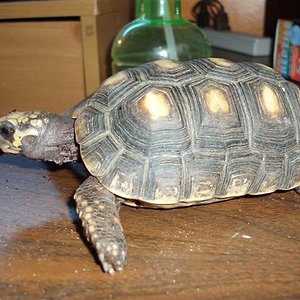 Picture 090 (Small).jpg