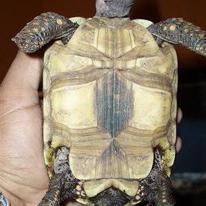 Picture 092 (Small).jpg