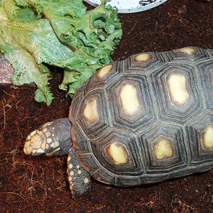 Picture 094 (Small).jpg