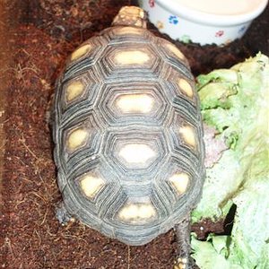 Picture 095 (Small).jpg