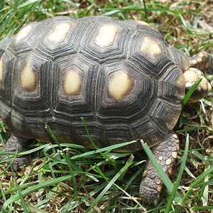 Picture 163 (Small).jpg