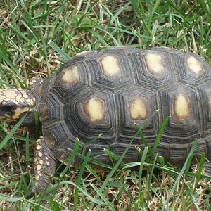 Picture 168 (Small).jpg