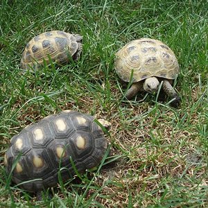 Picture 159 (Small).jpg