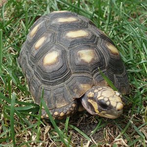 Picture 175 (Small).jpg