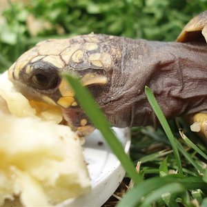 Picture 181 (Small).jpg