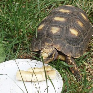 Picture 186 (Small).jpg