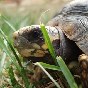 Picture 172 (Small).jpg