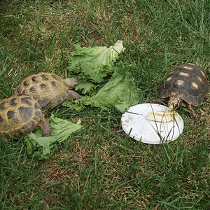 Picture 185 (Small).jpg