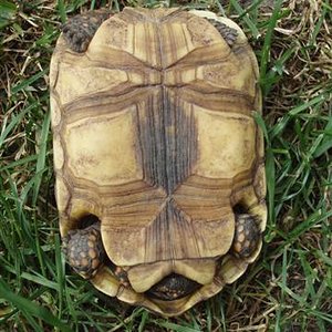 Picture 188 (Small).jpg