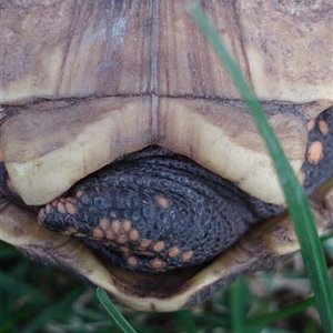 Picture 191 (Small).jpg