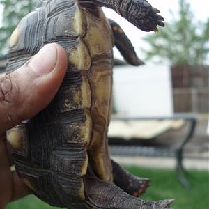 Picture 193 (Small).jpg