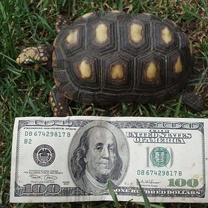 Picture 194 (Small).jpg