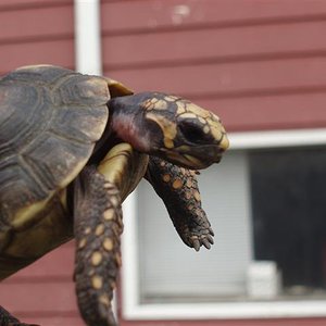 Picture 192 (Small).jpg