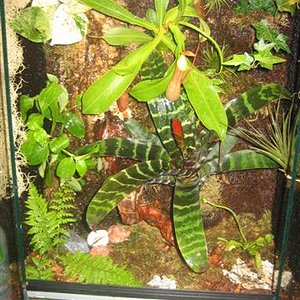 vivario 032 (Small).jpg