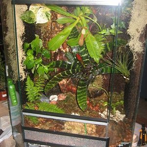 vivario 033 (Small).jpg