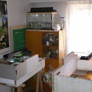 Cuarto bichos vista general.JPG