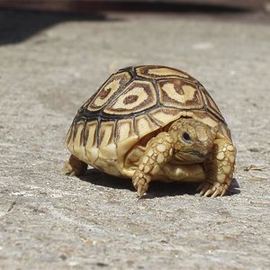 Picture 018 (Small).jpg