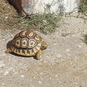 Picture 020 (Small).jpg